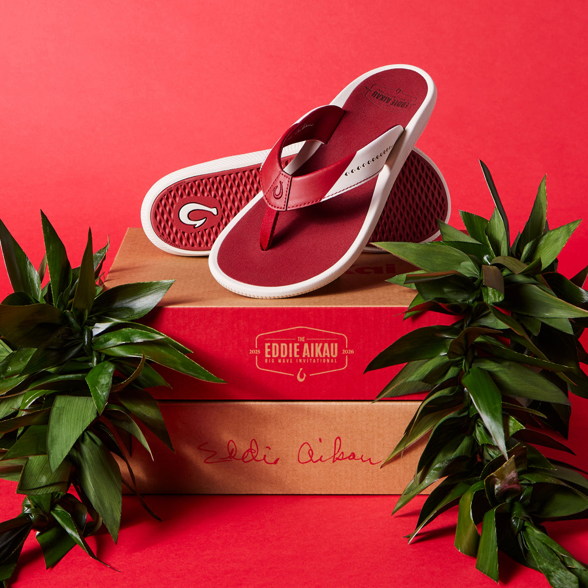 OluKai Best Price - Ulele - Off White / Deep Red